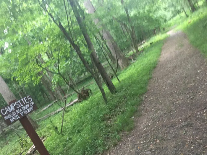 Marsden Tract Group Campground 5