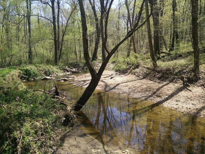 Robert C McDonell Campground 4