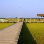 Campground at James Island County Park