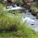 Buckhorne Country Store and Campground