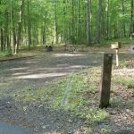 Bolar Mountain Campground #21