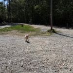 MONTANA AVENUE LAKESIDE CAMPGROUND LLC