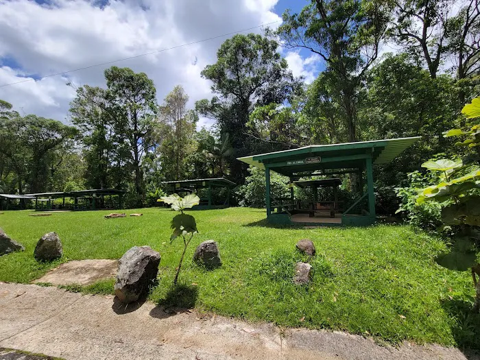 Toro Negro State Forest - Camping Site 1