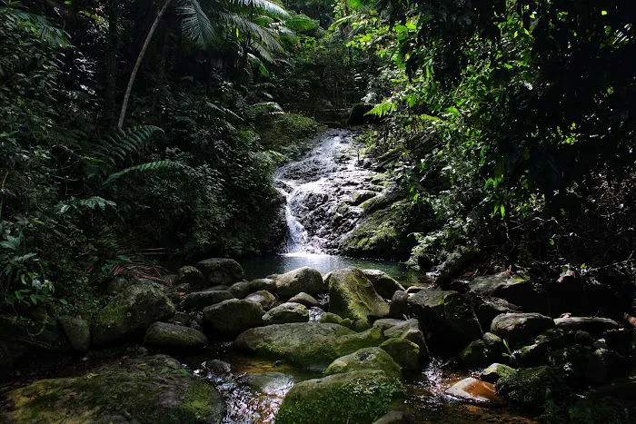 Toro Negro State Forest - Camping Site 2