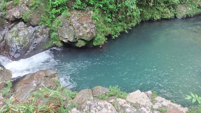 Toro Negro State Forest - Camping Site 8