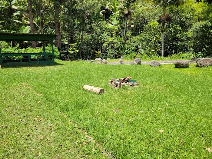 Toro Negro State Forest - Camping Site 4