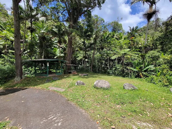 Toro Negro State Forest - Camping Site 6