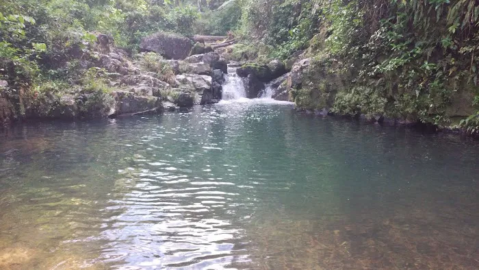 Toro Negro State Forest - Camping Site 9