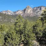 Cibola National Forest