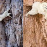 Dead Horse Point State Park