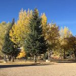 The Views RV Park & Campground