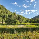 Burro Bridge Campground