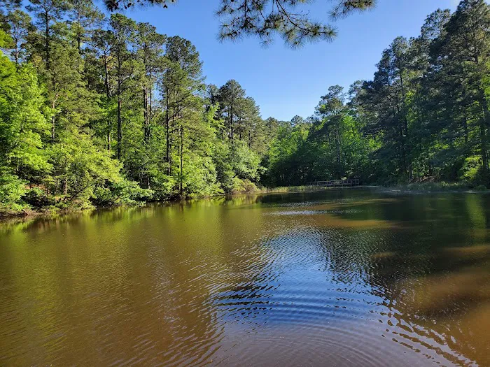 Logoly State Park 4