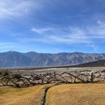 Saline Valley Warm Springs