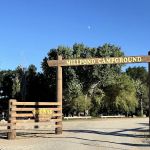 Brown's Millpond Campground