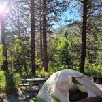 Lower Lee Vining Campground