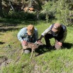 Upper Soda Springs Campground