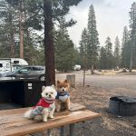 Glass Creek Campground, Inyo NF