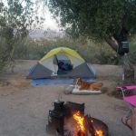 Echo Bay Lower Campground