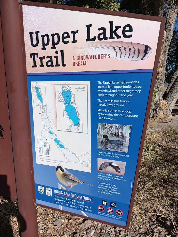 Upper Lake Campground 5