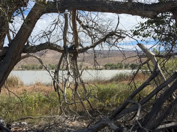 Upper Lake Campground 4