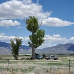 Hot Creek Campground