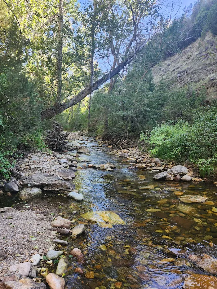 Bluster National Forest Campground 0