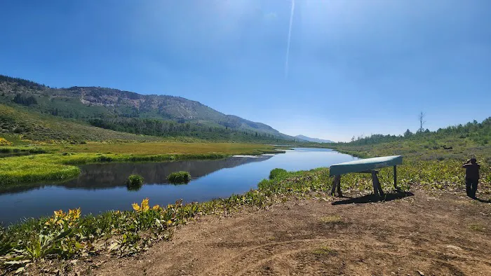 Bluster National Forest Campground 3