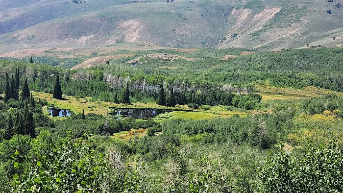 Bluster National Forest Campground 1