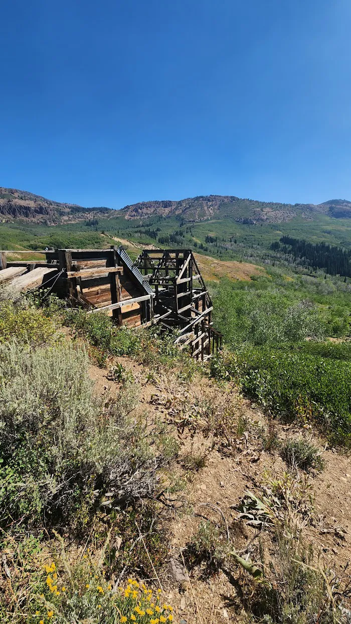 Bluster National Forest Campground 4