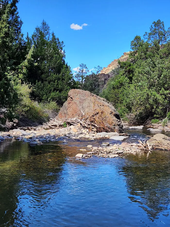 Bluster National Forest Campground 6