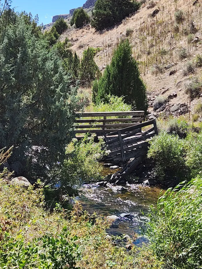 Bluster National Forest Campground 8