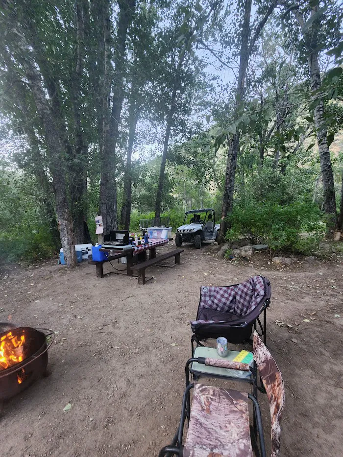 Bluster National Forest Campground 9
