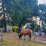 BVS Water Canyon Campground