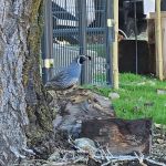 Indian Hill Ranch RV Park