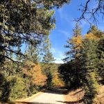 Tehachapi Mountain Camp