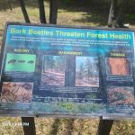 Coldbrook Campground