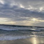 Huntington State Beach