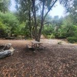 Bear Canyon Campground