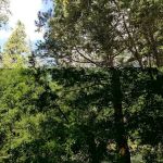 Dark Canyon Campground