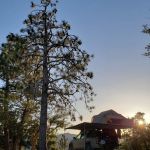 Tent Peg Group Campground