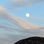 Mojave River Forks Regional Park
