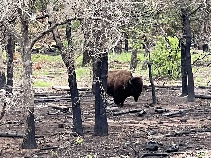 Fawn Creek Campground 2