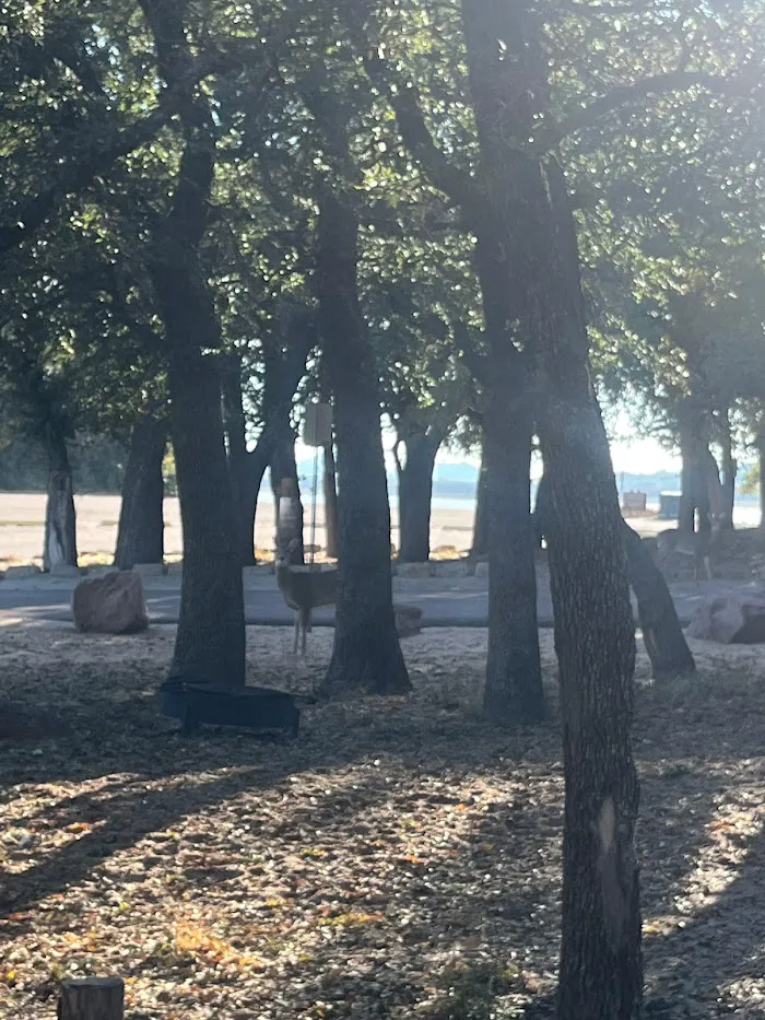 Live Oak Campground 0