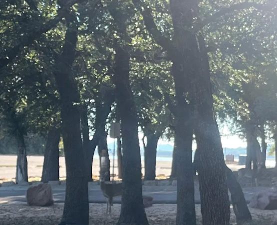 Live Oak Campground