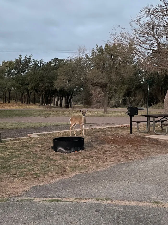 East Scissortail Campground 2
