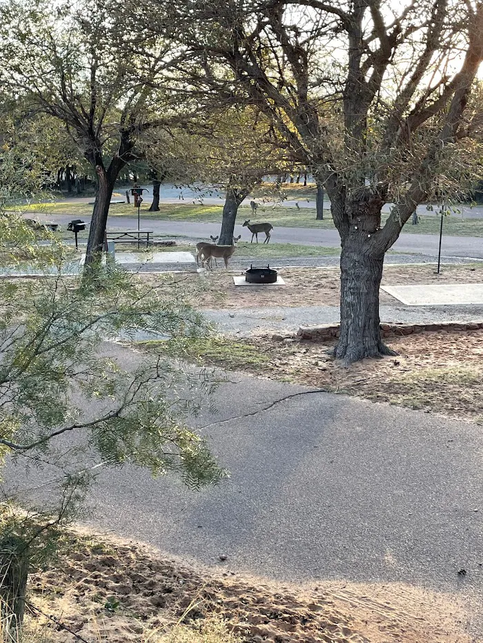 East Scissortail Campground 4