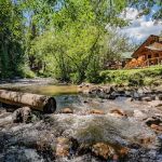 Colorado Bear Creek Cabins