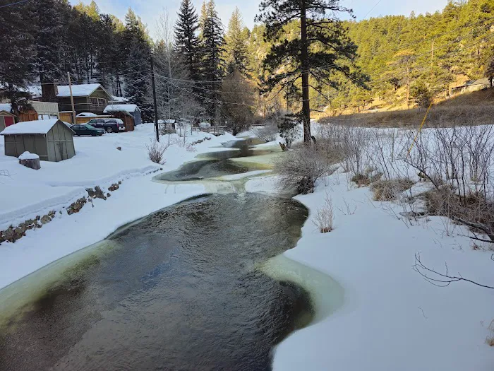 Colorado Bear Creek Cabins 1