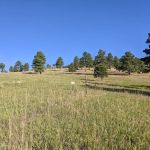 Sawmill Hiker Campground